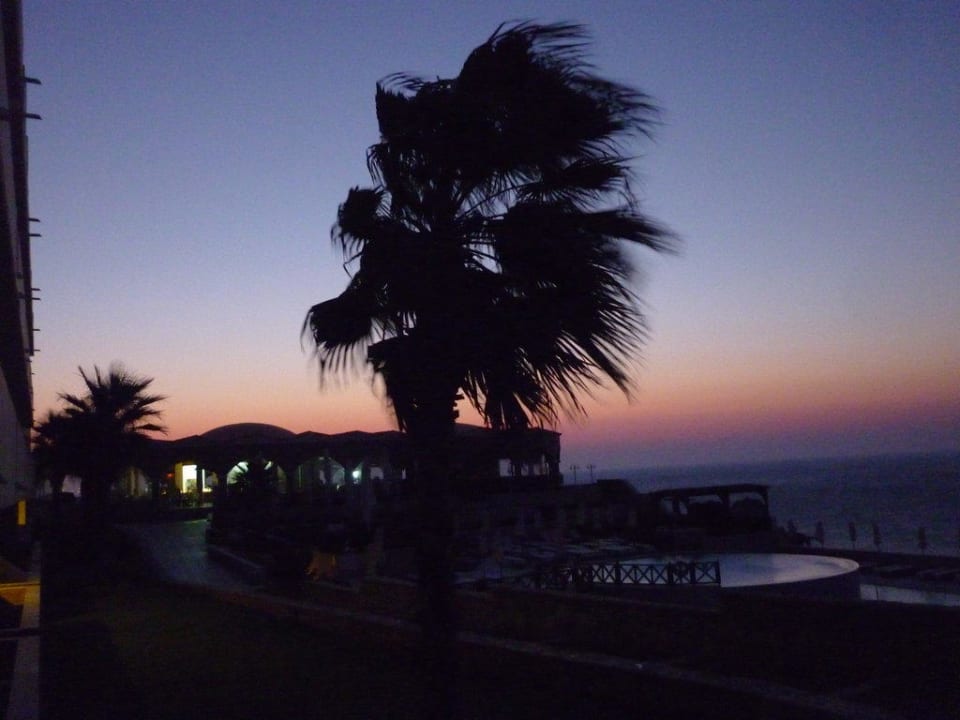 Palme bei Sonnenaufgang Hotel Kalithea Horizon Royal