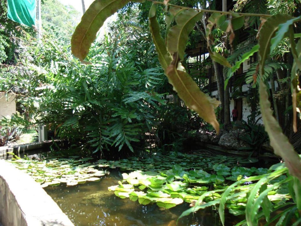 Kleiner Teich vor dem Baoabab Baobab Beach Resort & Spa