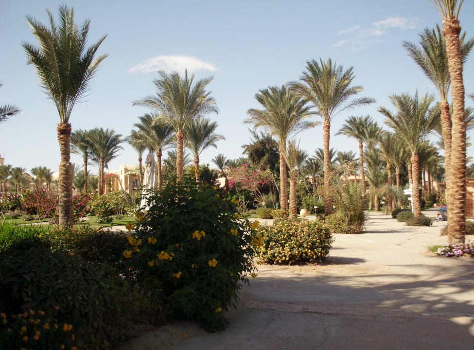 In der Nähe des Hotels Stella Garden Resort & Spa, Makadi Bay