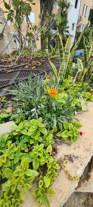 Gartenanlage Mahdia Beach & Aquapark