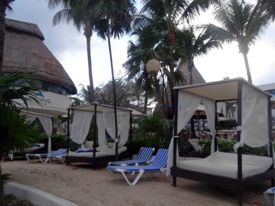Liegen zwischen Poool & Strand The Reef Playacar