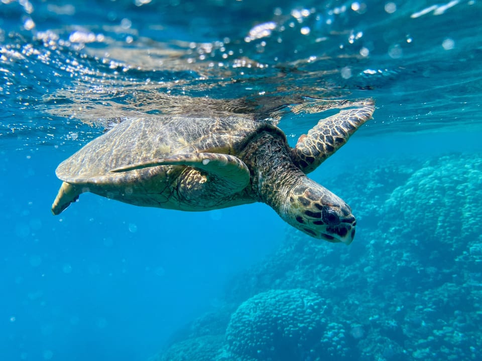 Strand Three Corners Equinox Beach Resort