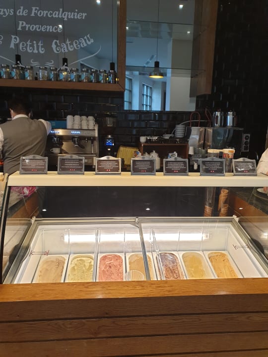 Gastro Acanthus Cennet Barut Collection