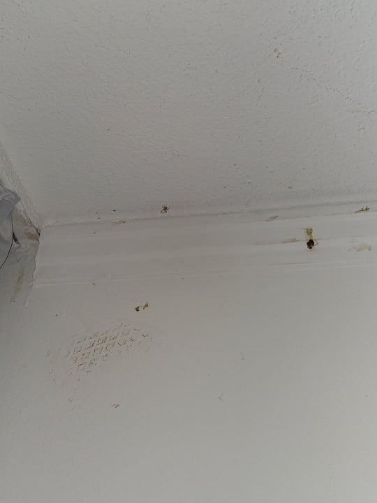 Zimmer Hotel Lauterbach