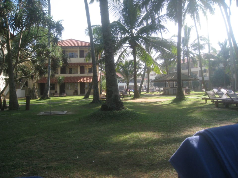 Schattiger Garten im Hotel Mermaid Mermaid Hotel & Club