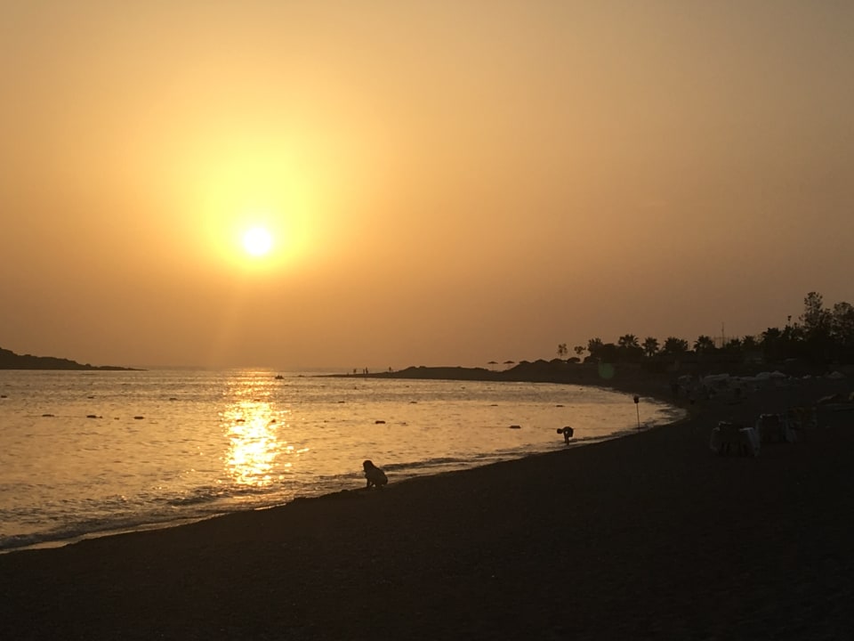 Strand Hotel Gardenia Beach