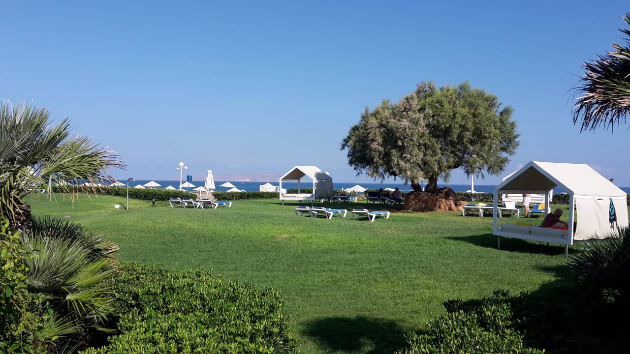 Liegen mit Pavillons im Garten Lyttos Beach Hotel