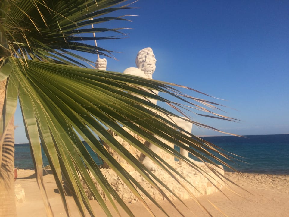 Strand Pickalbatros Citadel Resort