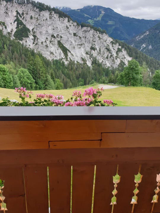 Ausblick Bergbauernhof Pension Irxner