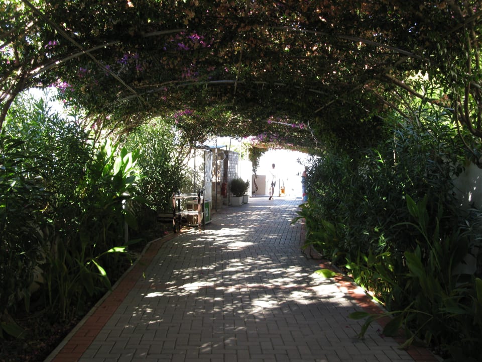 Weg zum Strand Alaiye Resort & Spa