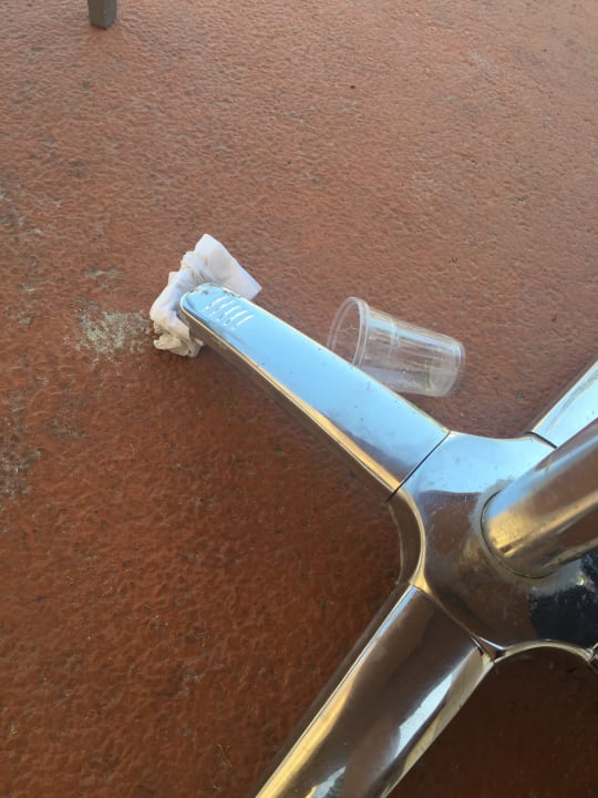 Sonstiges Alcudia Garden Aparthotel