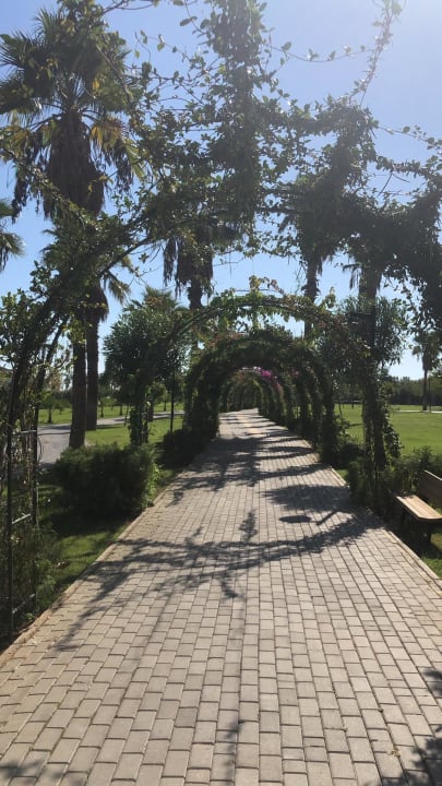 Strand Royal Seginus