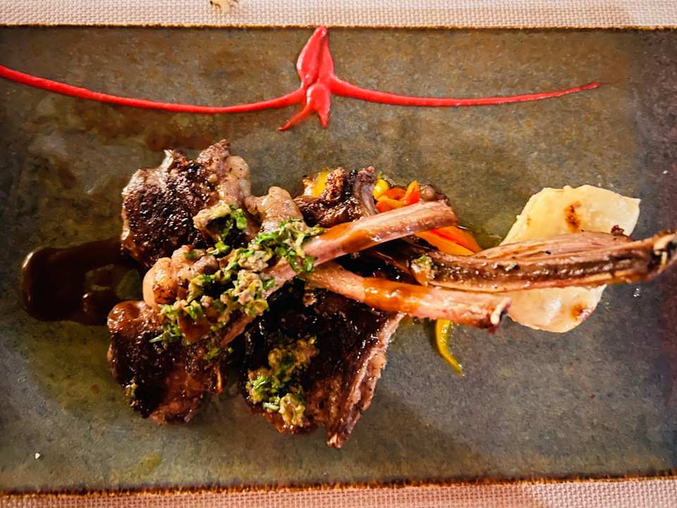 Gastro JAZ Elite Asteria