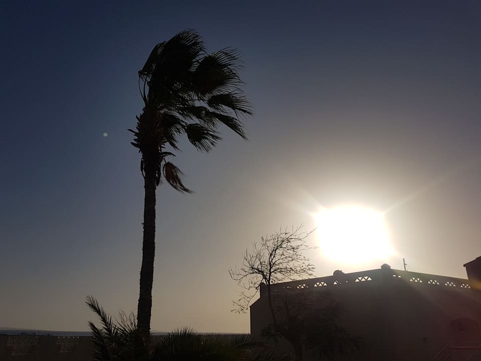Ausblick Beach Albatros Resort