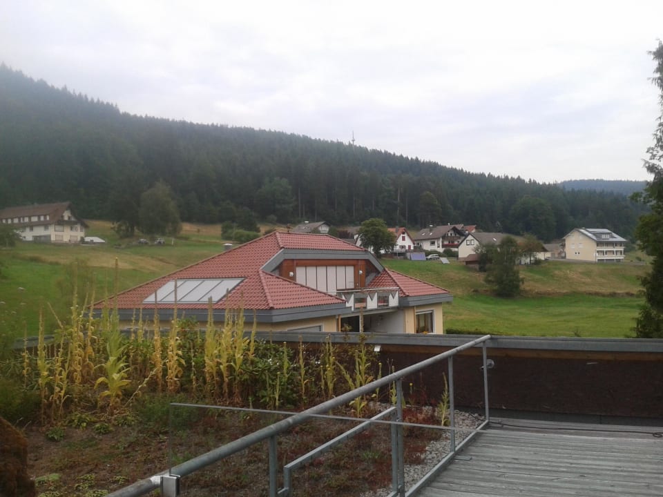 Ausblick Hotel Blume