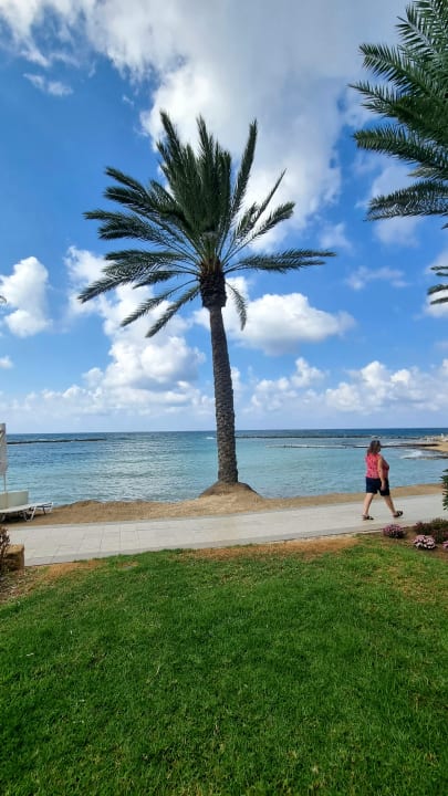 Strand TUI BLUE Pioneer Beach