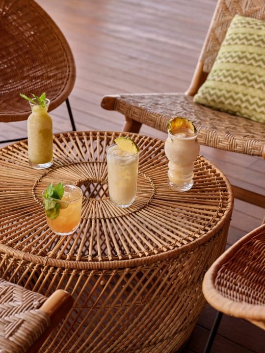 Gastro Lara Barut Collection