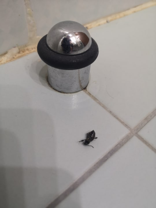 Zimmer Hotel Pine Bay Holiday Resort