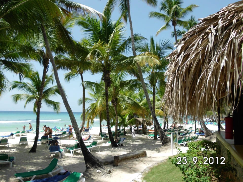 Strand Hotel Viva Dominicus Palace by Wyndham-All Inclusive Resort