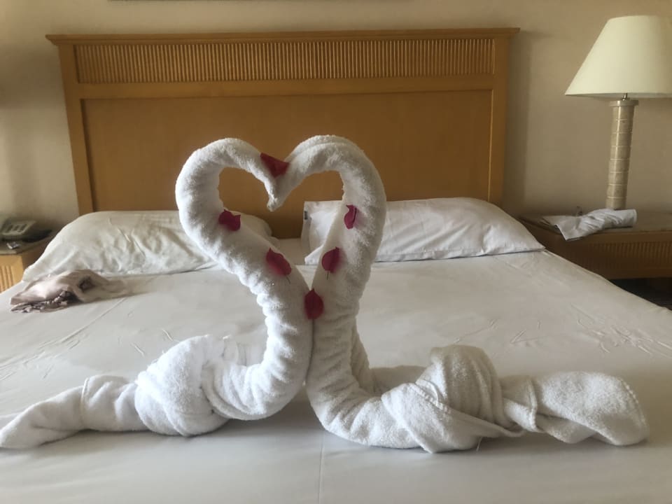 Zimmer Hotel JAZ Makadi Star & Spa
