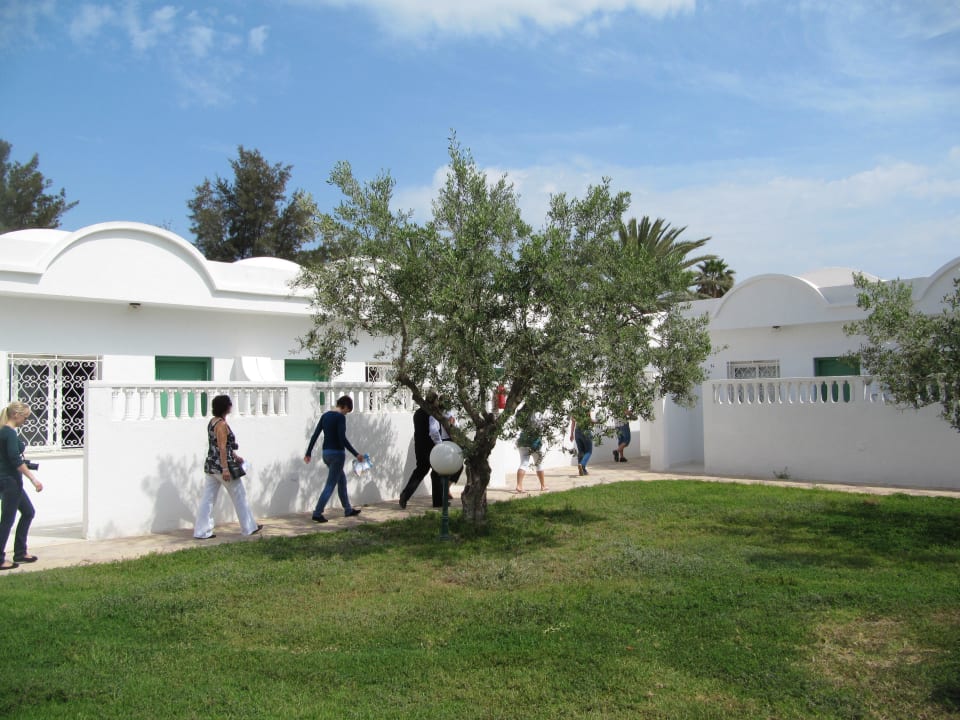 Ogród El Mouradi Club Kantaoui