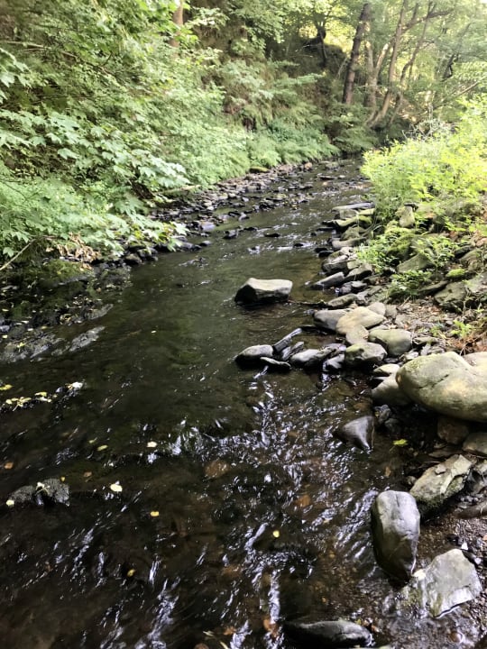 Gartenanlage Landhotel Kallbach