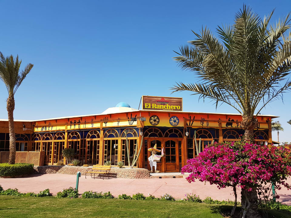 Desert Rose Resort Desert Rose