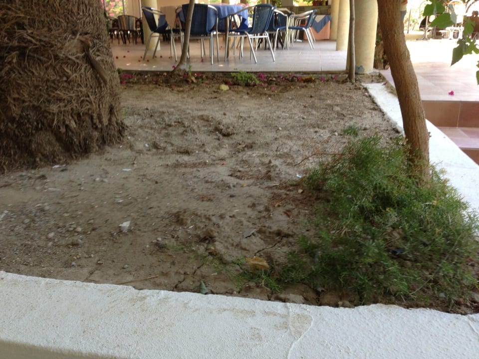 Schandfleck 2 von Vielen Marianna Palace Hotel