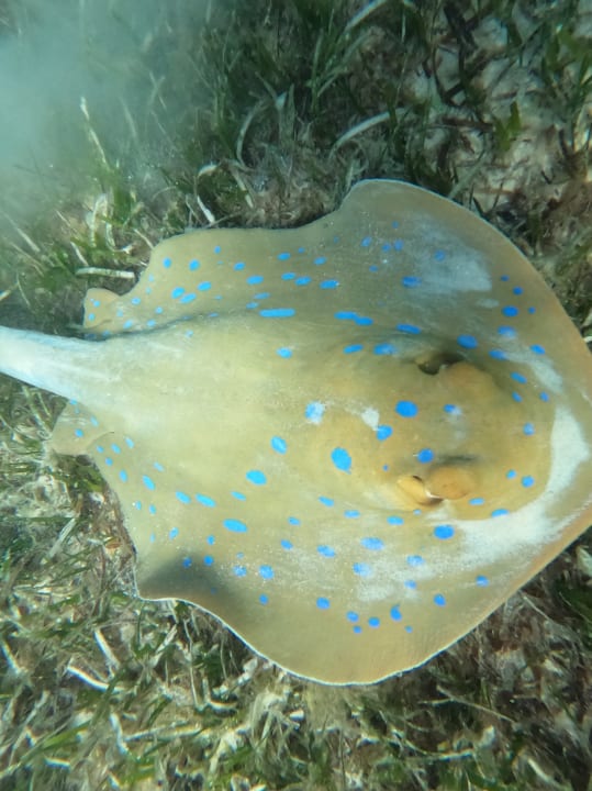 Sonstiges Dream Lagoon Resort & Aqua Park