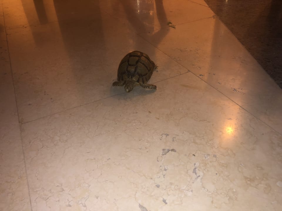 Sonstiges Steigenberger Aqua Magic