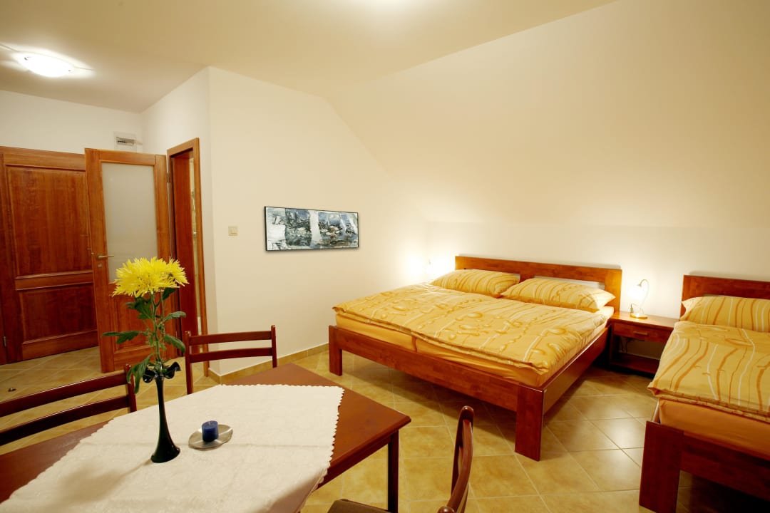 Pokoj Pension Bucharka