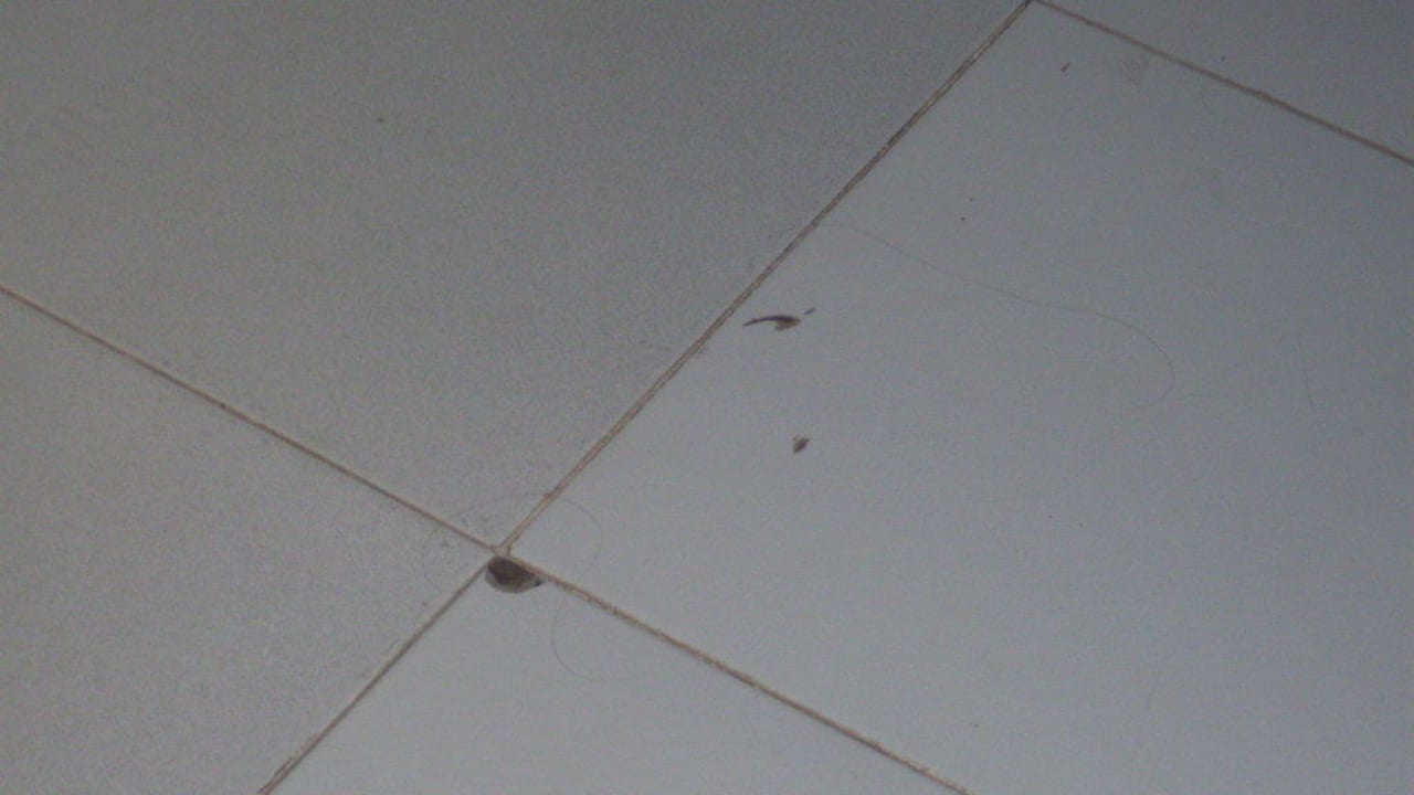 Boden H10 Ocean Suites