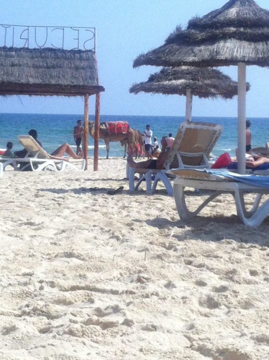 Hotelstrand Hotel Marhaba Club