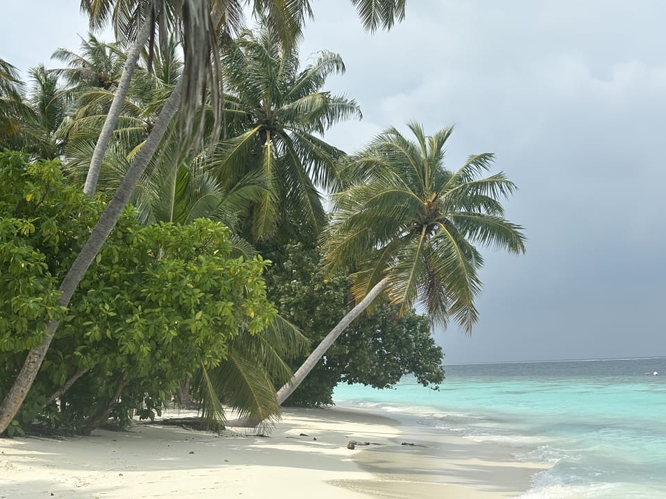 Strand Vilamendhoo Island Resort & Spa