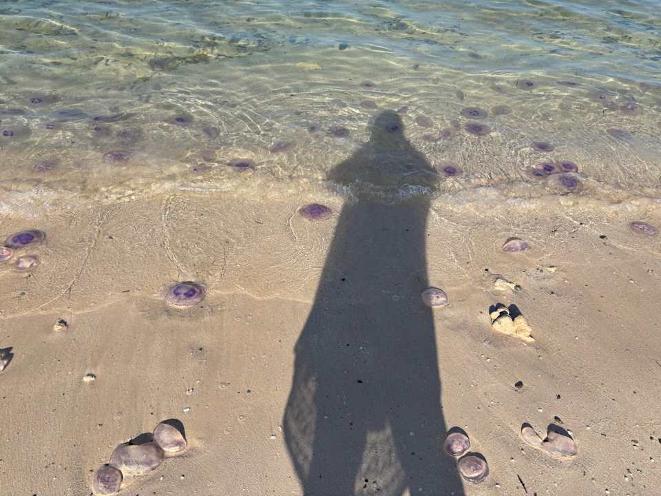 Strand Novotel Marsa Alam Beach Resort