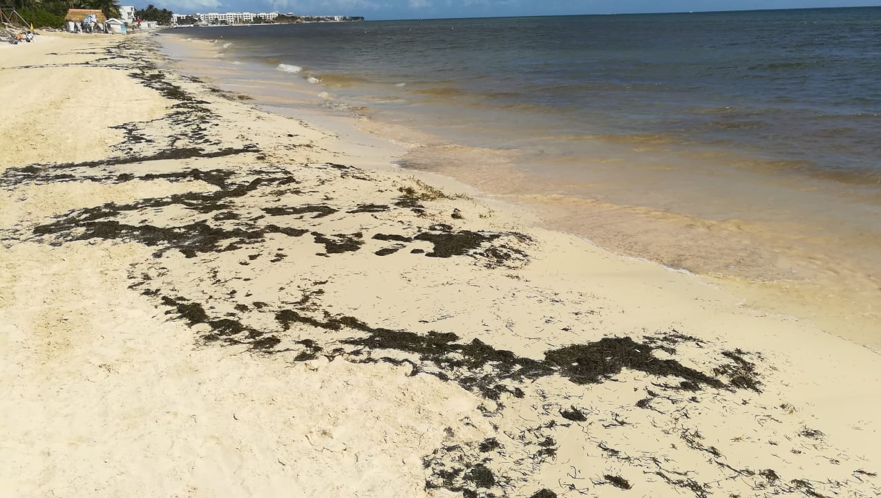 Strand Ocean Coral & Turquesa by H10