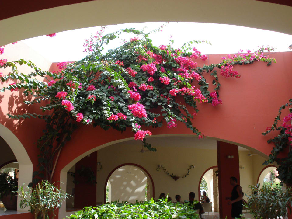 Strandrestaurant La Tortuga Occidental Boa Vista Beach