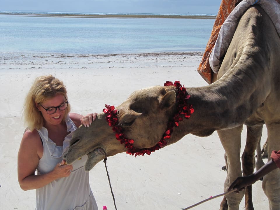 Strand Hotel Southern Palms Beach Resort