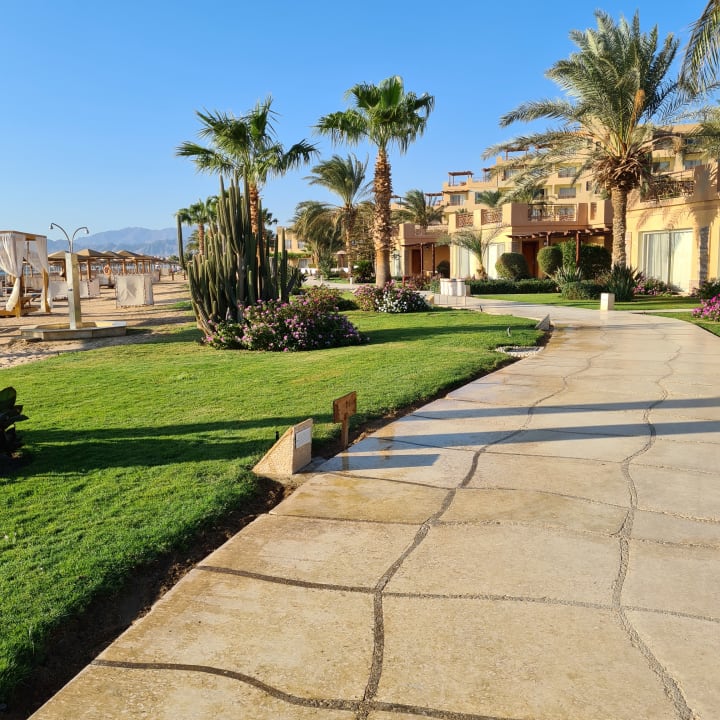 Außenansicht Shams Prestige Abu Soma-Adults Only