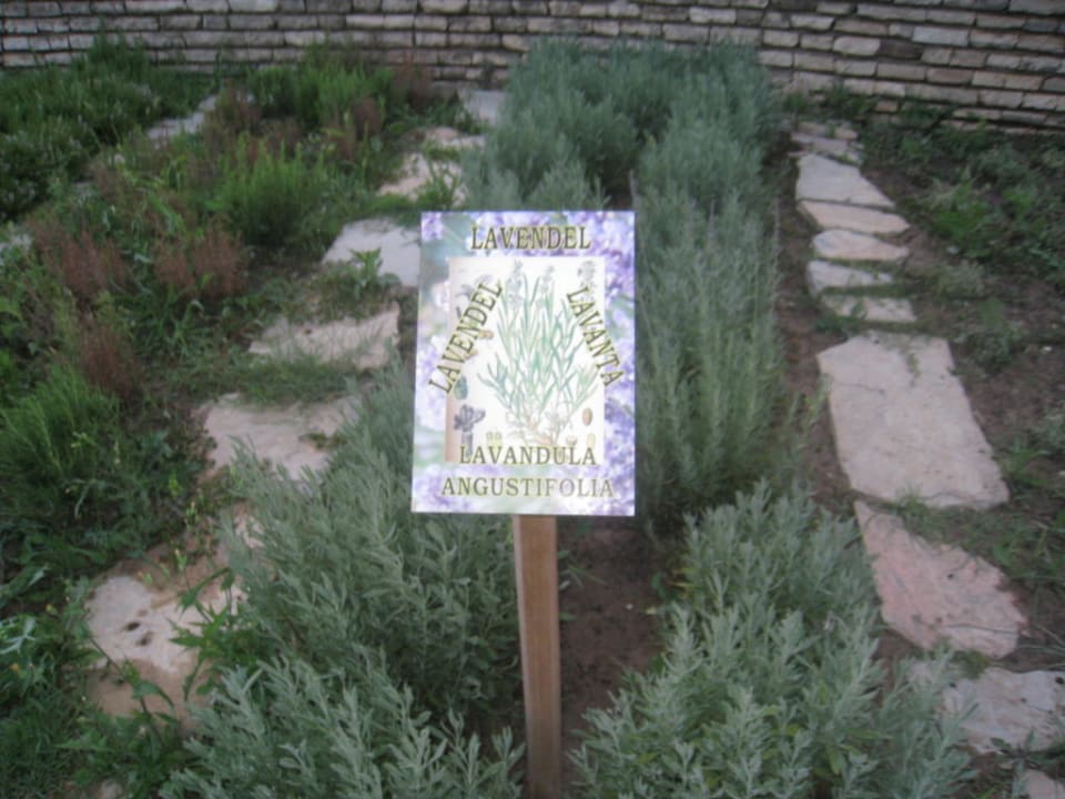 Club eigener Kräuter-Garten Monachus Family Resort Sorgun
