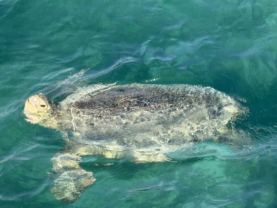 Strand Mövenpick Waterpark Resort & Spa Soma Bay