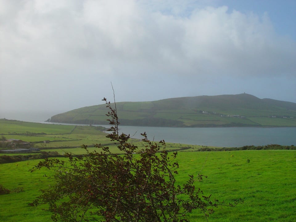 Dingle Pax Guest House B&B