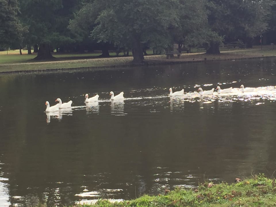 Park Nells Park Hotel