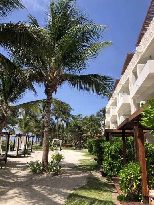 Gartenanlage Akumal Bay Beach & Wellness Resort