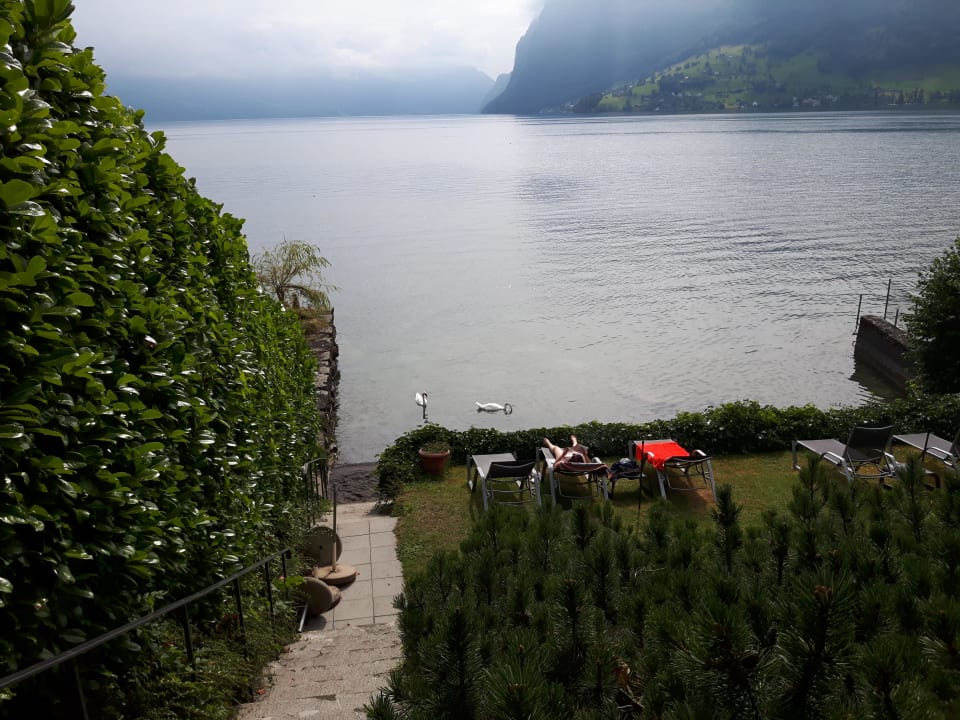 Blick am Morgen Seehotel Kastanienbaum