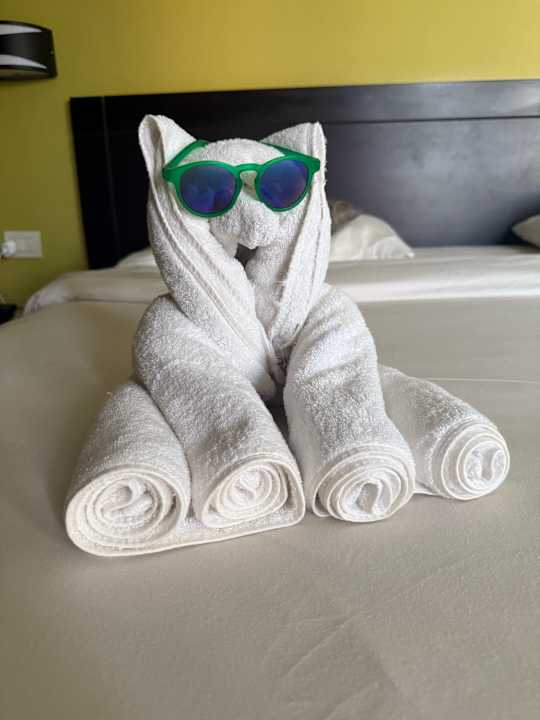 Zimmer Casa Mare Resort