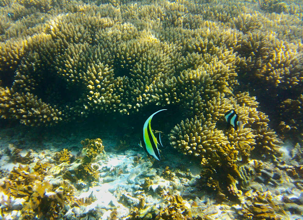 Strand Shandrani Beachcomber Resort & Spa