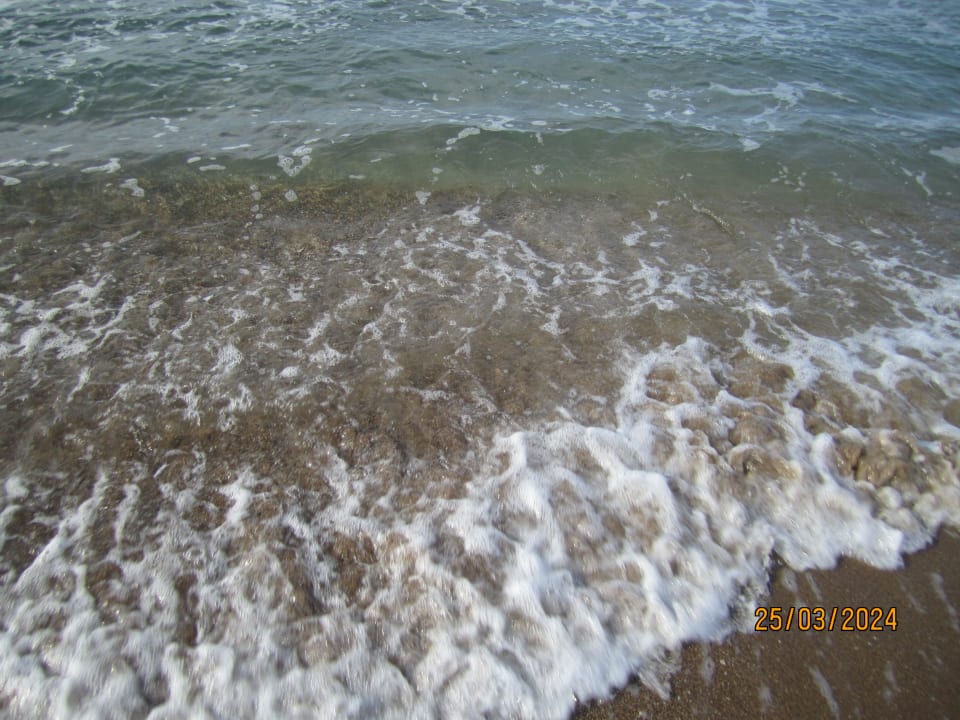 Strand Side Star Elegance