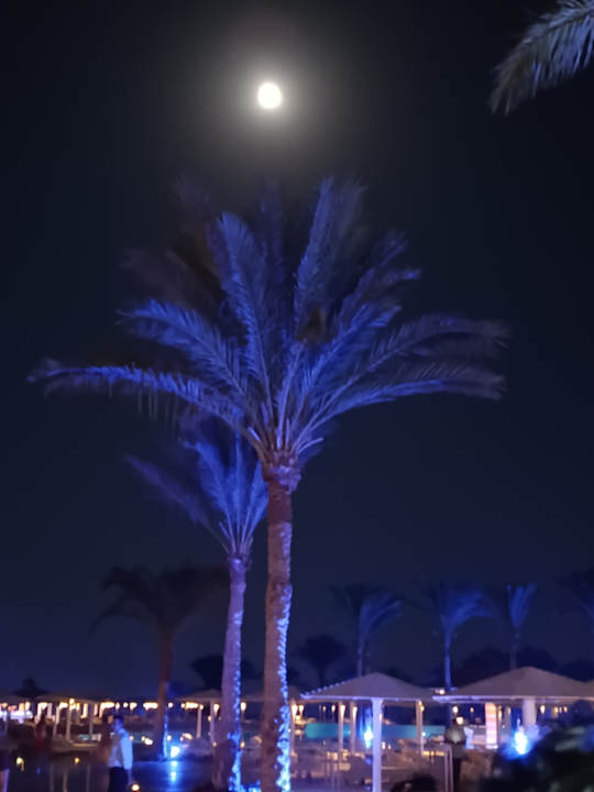 Ausblick Fantazia Resort Marsa Alam