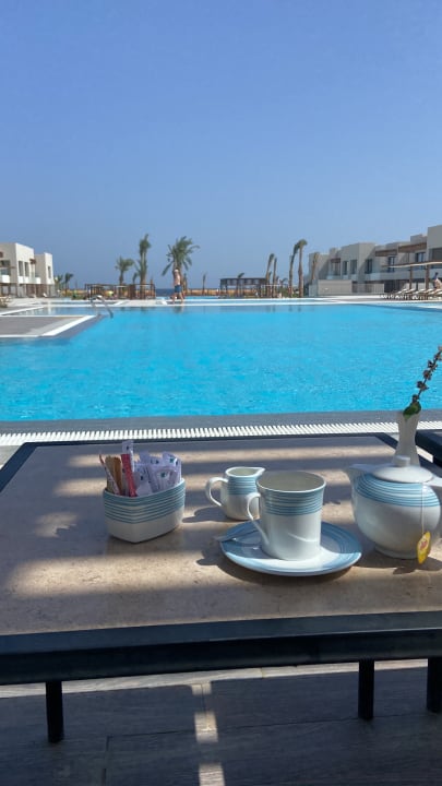 Gastro JAZ Elite Amara